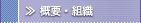 �T�v�E�g�D