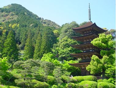 �ڗ������܏d���̎ʐ^