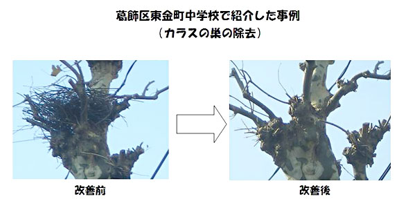 �����擌�������w�Z�ŏЉ������i�J���X�̑��̏����j���P�O�����P��