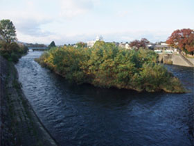 ����f�[�^(���B�̌i��)���P�O