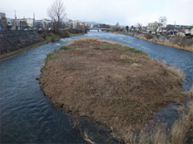 ����f�[�^(���B�̌i��)���P��