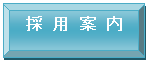 �̗p�ē�