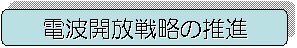 �d�g�J���헪�̐��i