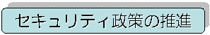 �Z�L�����e�B����̐��i