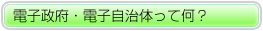 �d�q���{�E�d�q�����̂��ĉ��H