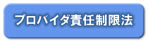 �v���o�C�_�ӔC�����@
