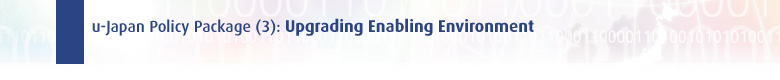 u-Japan Policy Package (3): Upgrading Enabling Environment