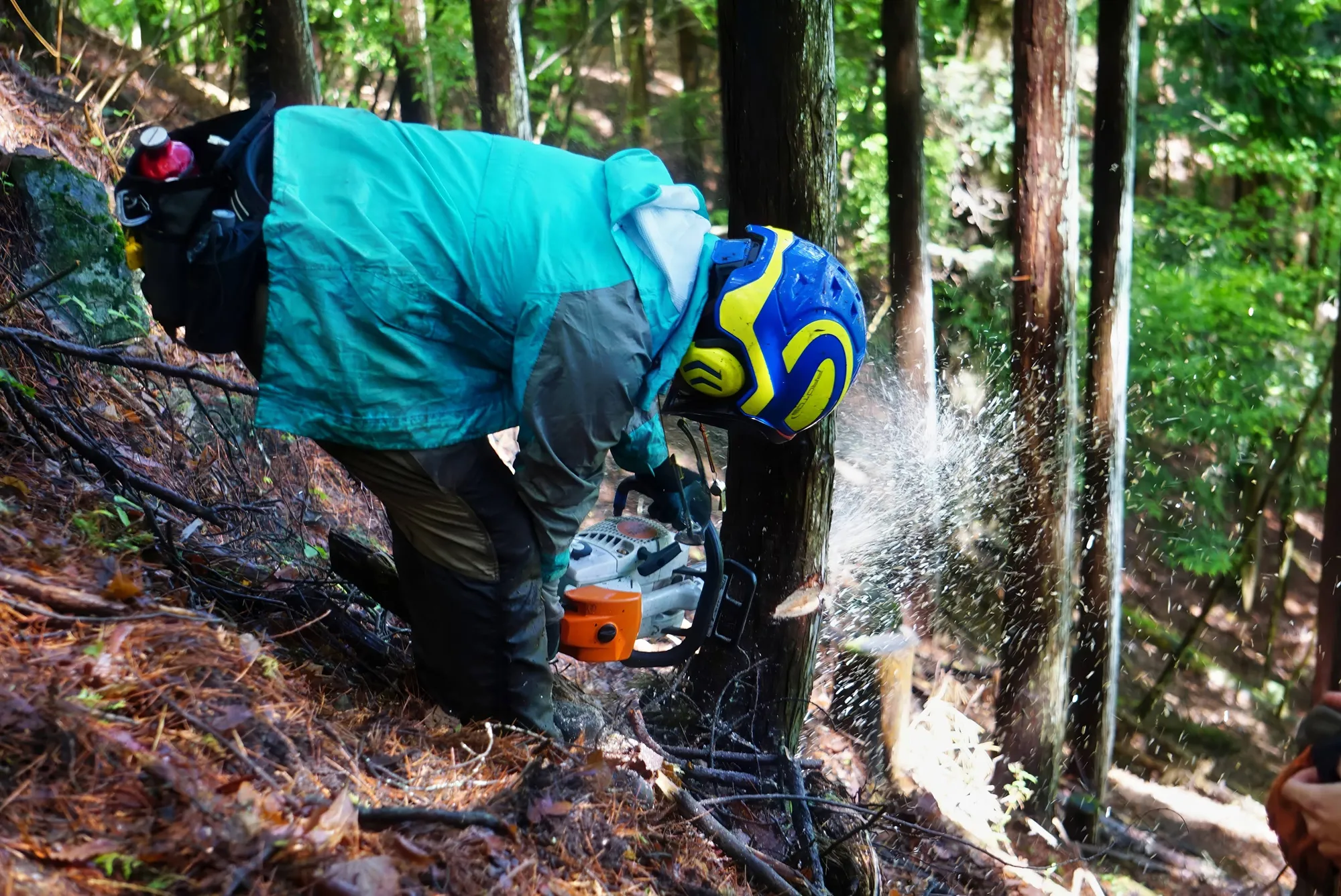 過去に林業に従事していた地域おこし協力隊員の活動風景