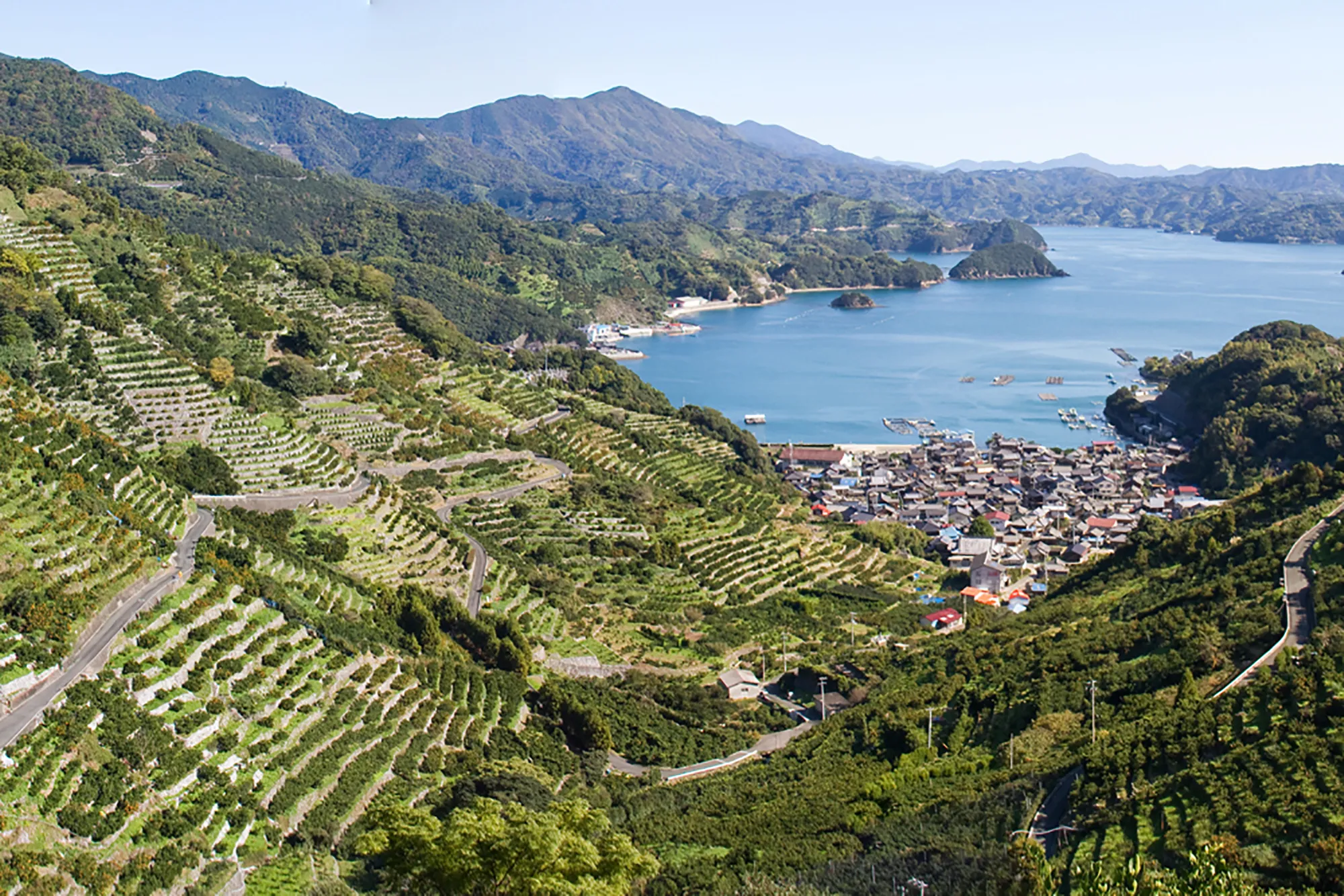 “50代はまだ若手”——愛媛県西予市に学ぶミドル世代協力隊の活躍と受け入れ術