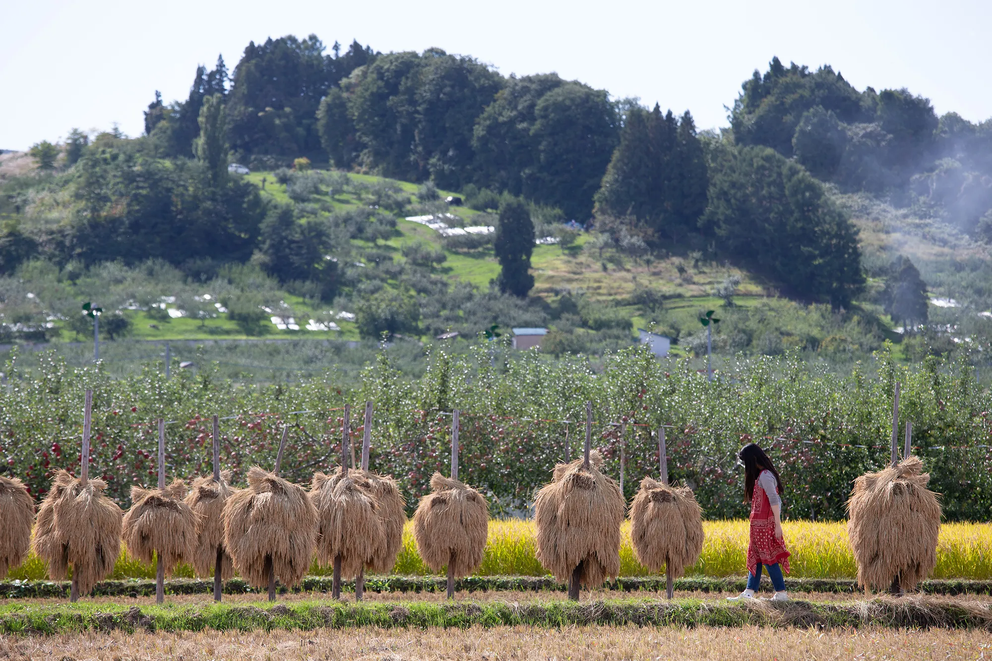 地域とともに考える協力隊制度の活用——青森県弘前市の丁寧な制度づくり