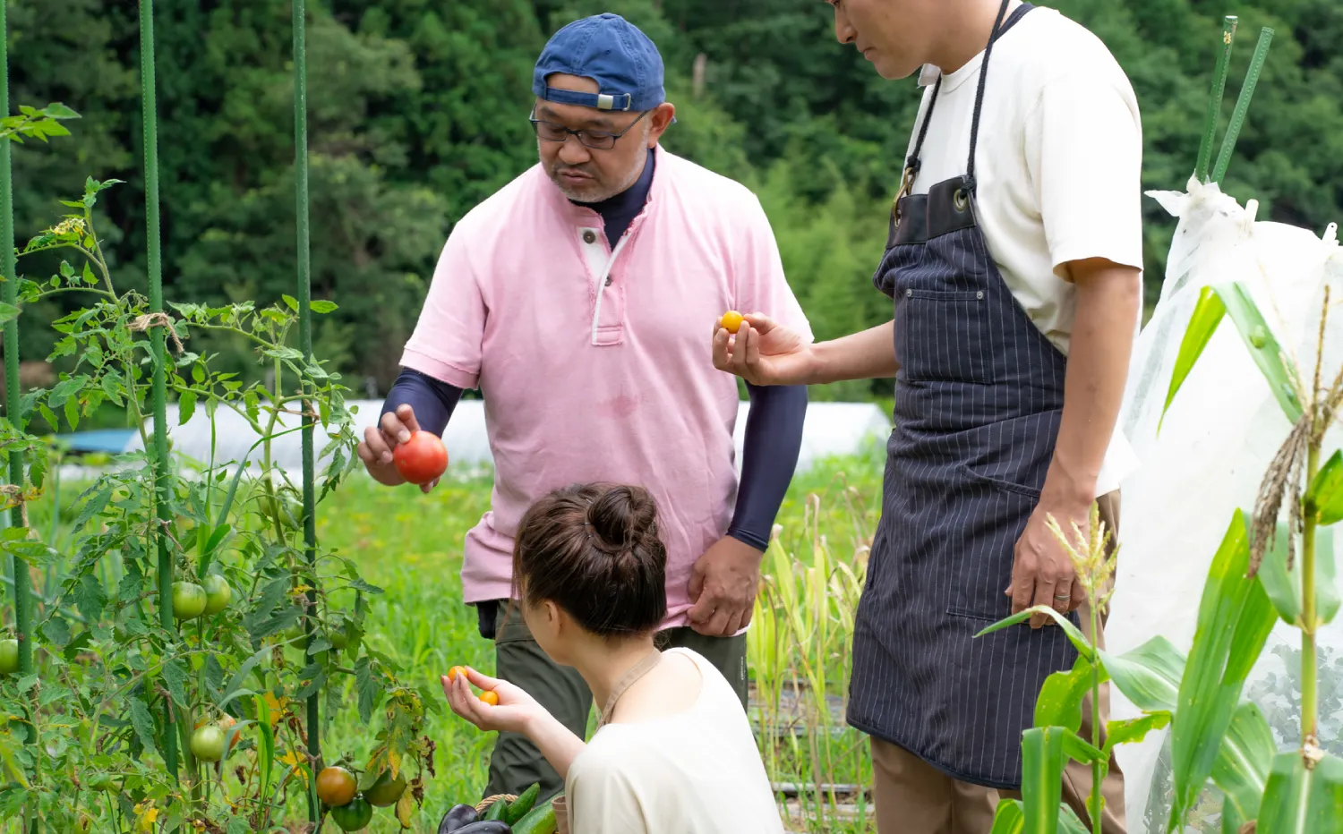 地域おこし協力隊インターン
