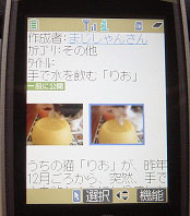 画像:携帯電話の画面