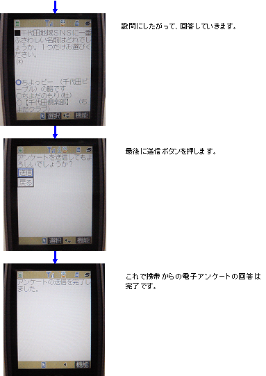 画像:電子アンケートの回答画面例(携帯電話から)