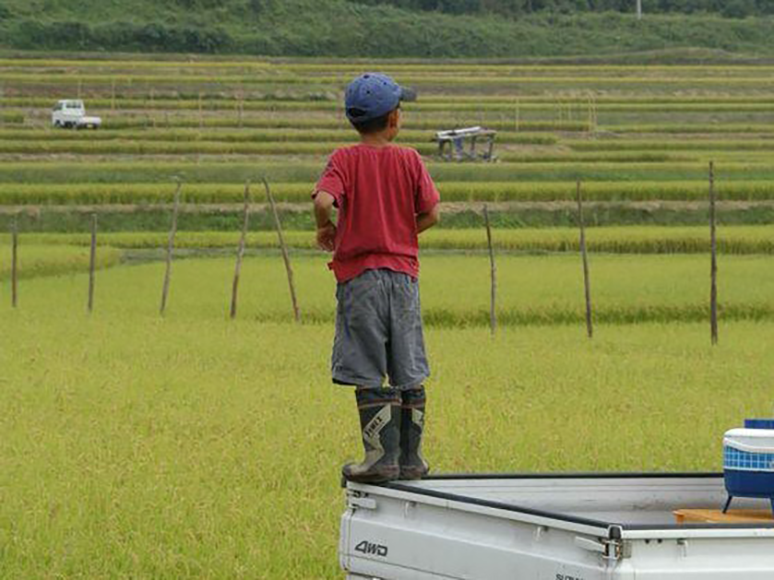 農業体験・農業研修