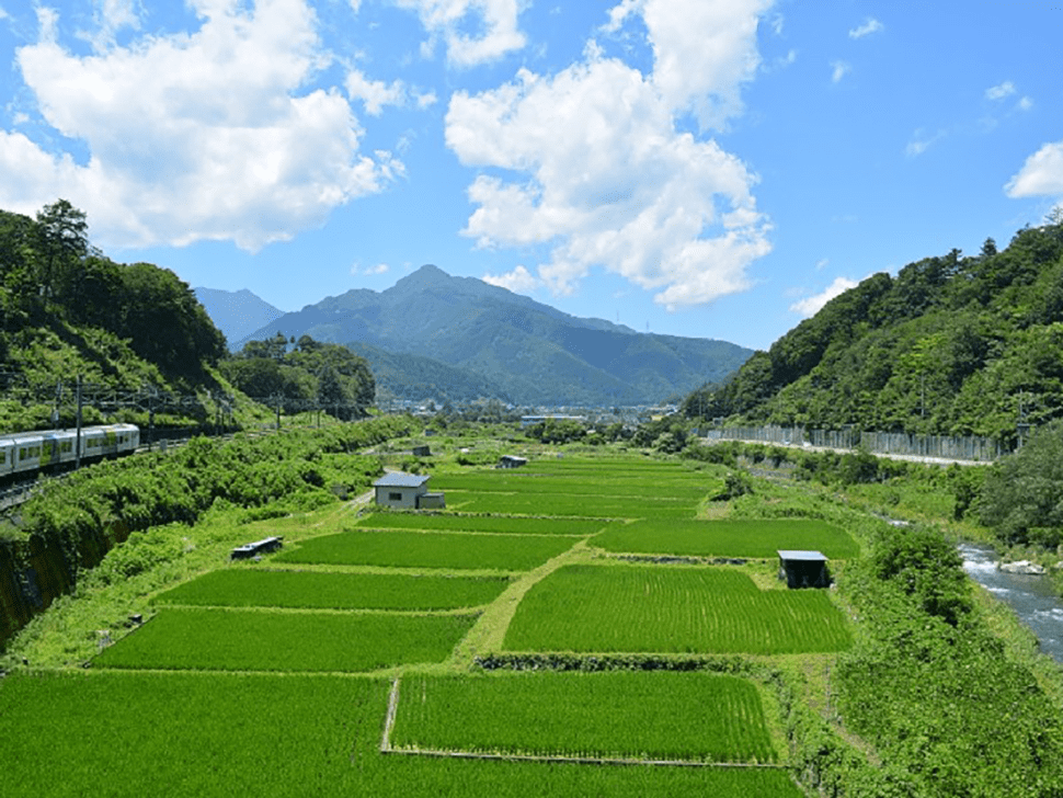 おおつき体感萬ツアー