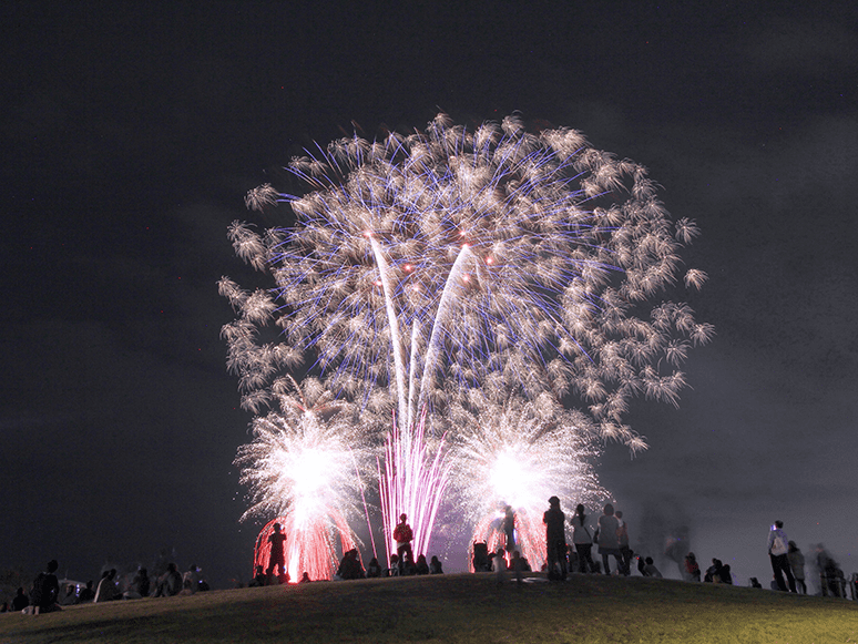 城陽秋花火大会