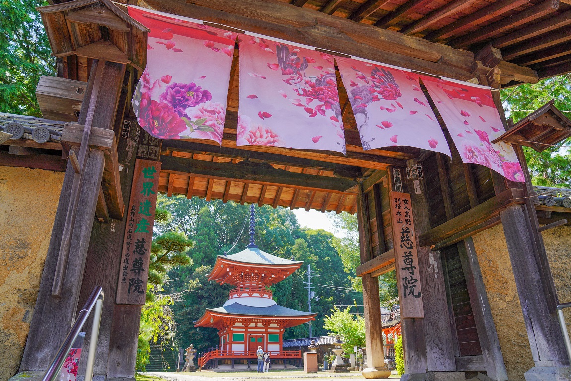 くどやま芸術祭 写真