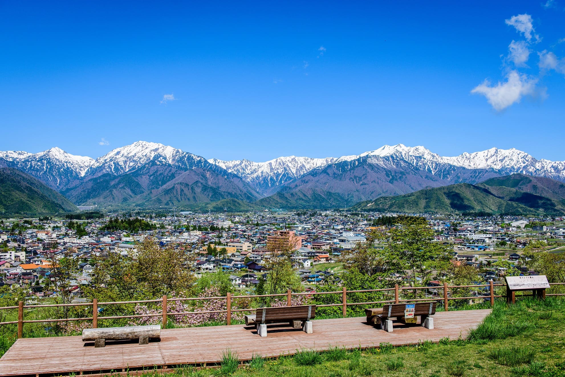 しなのおおまちワーキングホリデー事業 写真