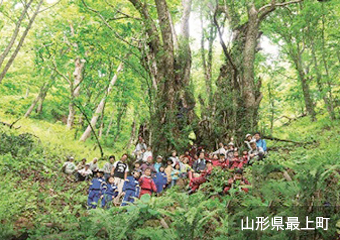 山形県最上町アイコン