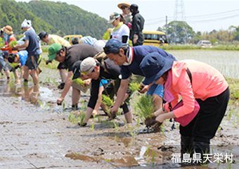 福島県天栄村アイコン