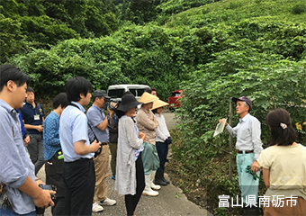 富山県南砺市アイコン