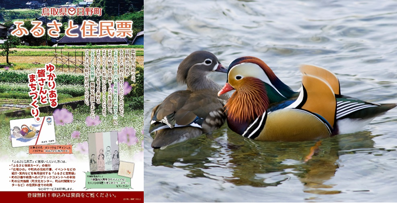 鳥取県日野町「ふるさと住民票」　写真