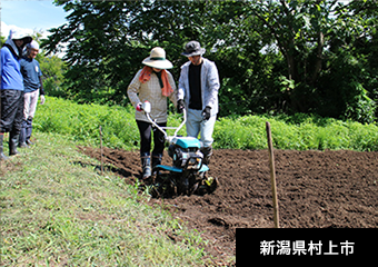 新潟県村上市