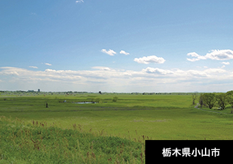 栃木県小山市