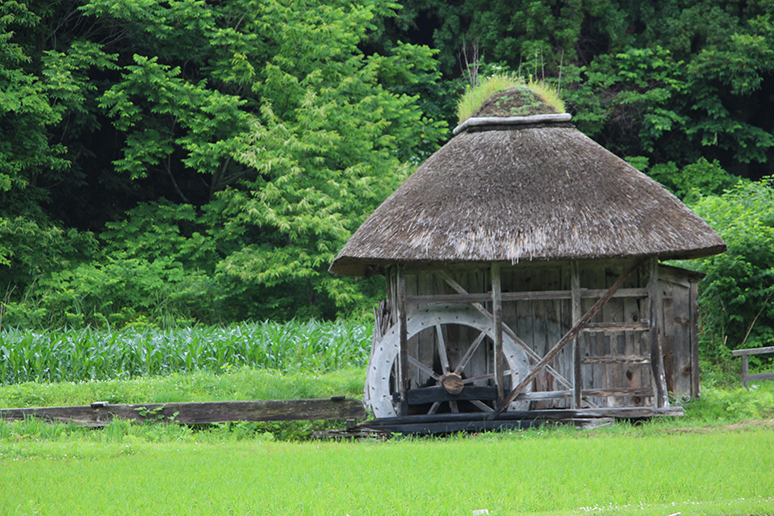 「つい、関わってみたくなる地域を、みんなでつくる」プロジェクト