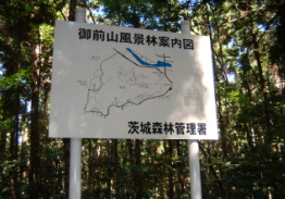 <事例写真2>