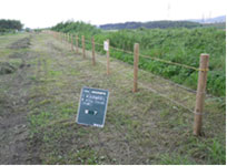 進入禁止の木柵フェンス