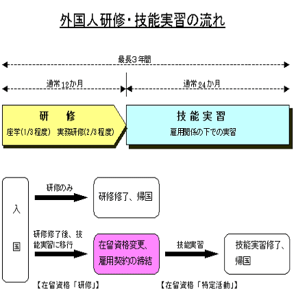 OlC̗}