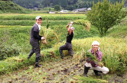 稲刈りを楽しむ3人の男性の写真