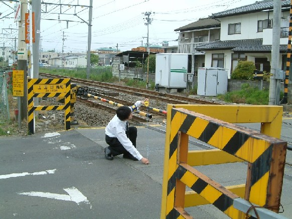 n(ʐ^)