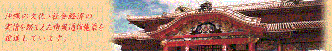 沖縄の文化・社会経済の実情を踏まえた情報通信施策を推進しています。