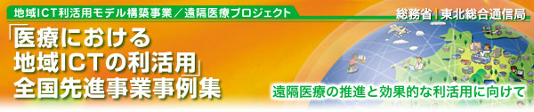 地域ICT利活用モデル構築事業 全国先進事業事例集−ICT利活用による地域の諸課題の解決に向けて−