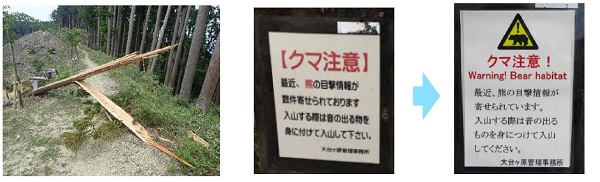 遊歩道の倒木は撤去され、クマ注意の標識は英語表記も追加されました