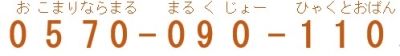 0570−090—110