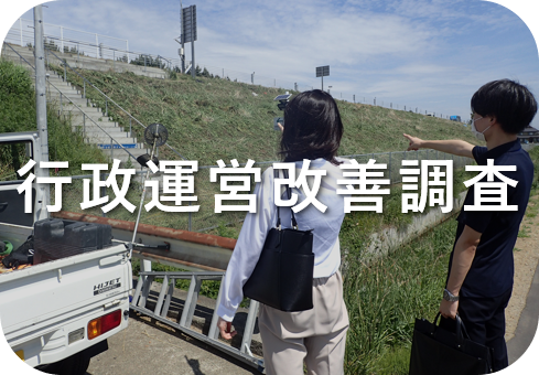 s^cP