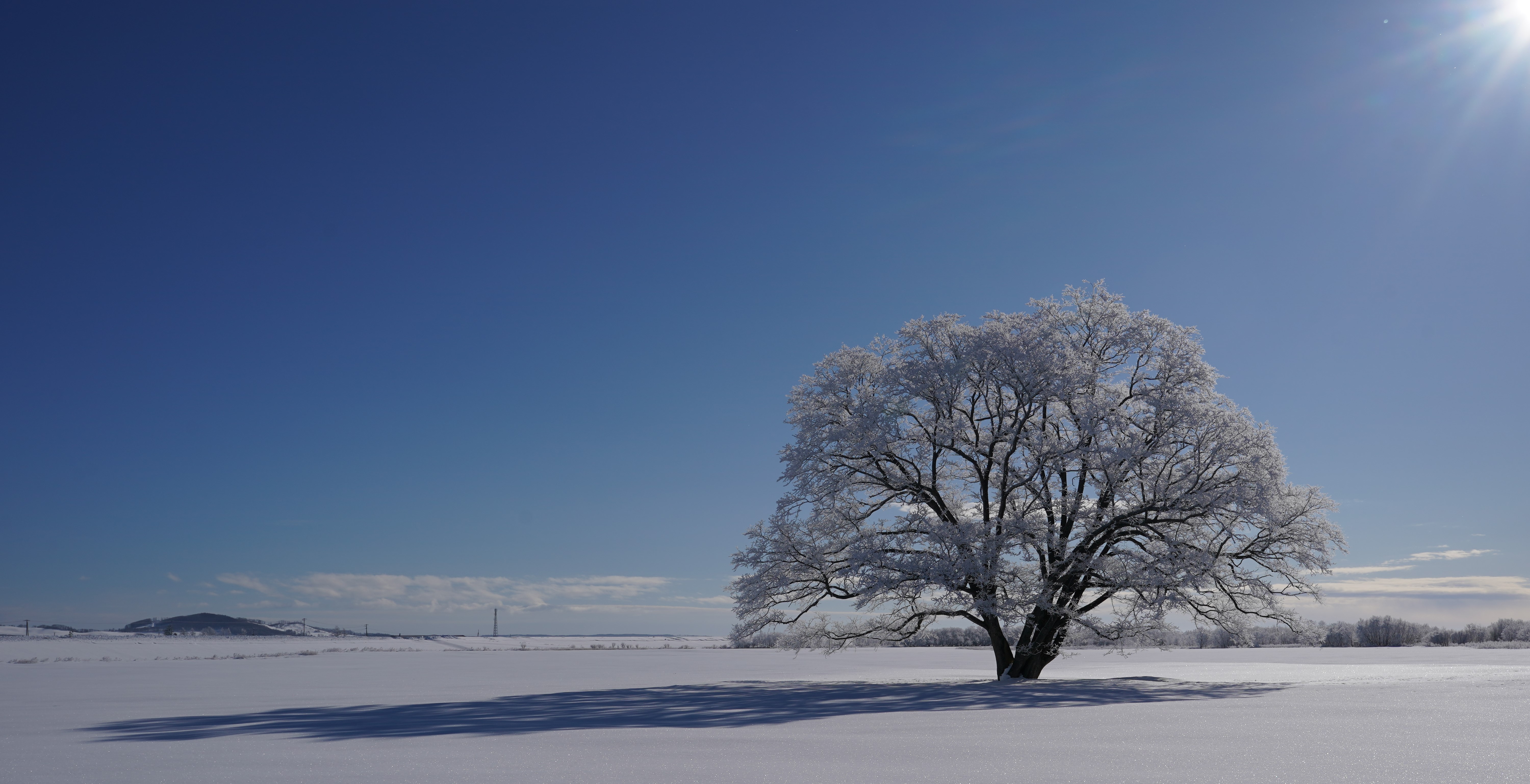 �ߘa8�N�x�V�N�̂����A�摜