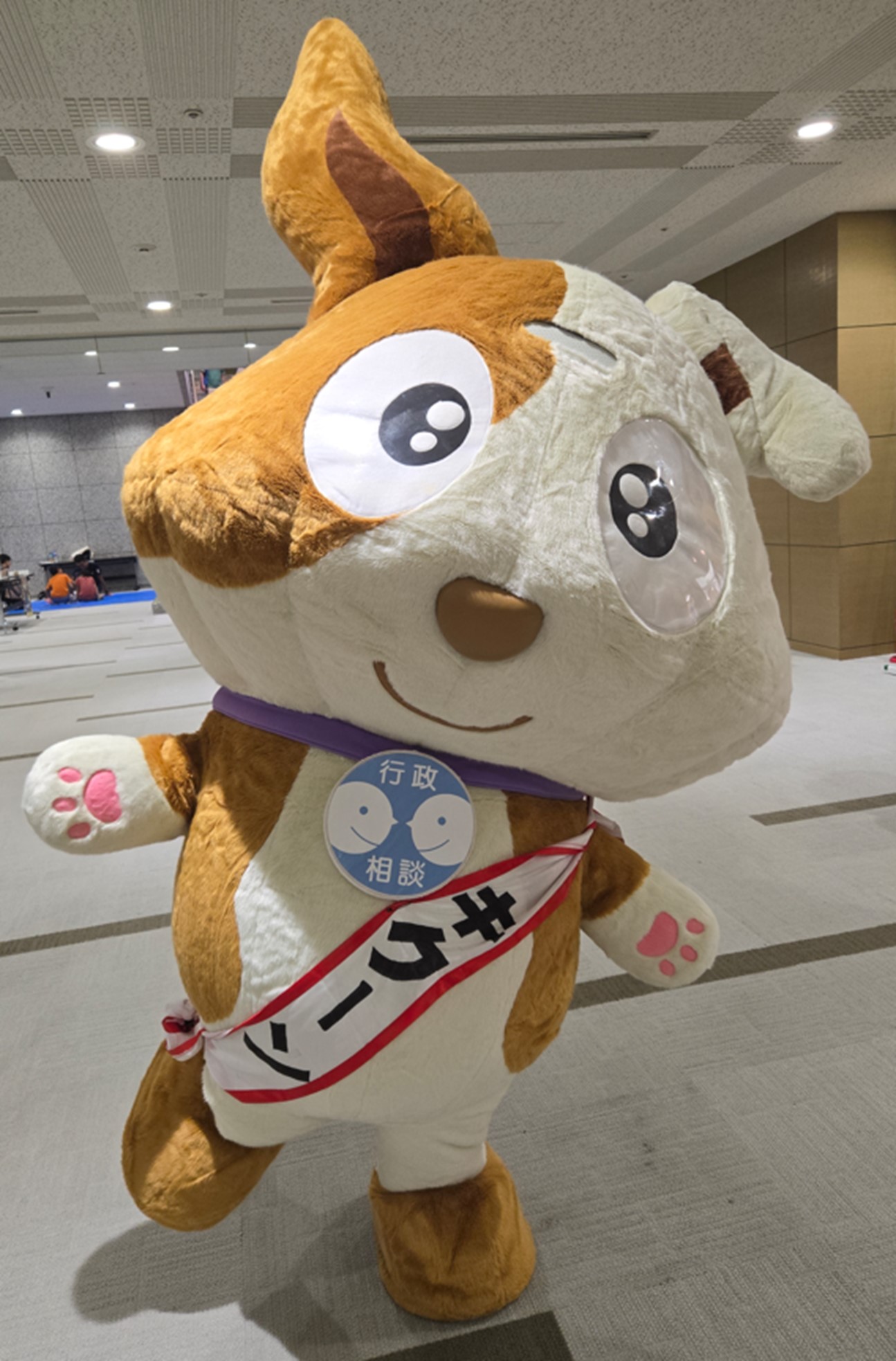 行政相談マスコット「キクーン」君