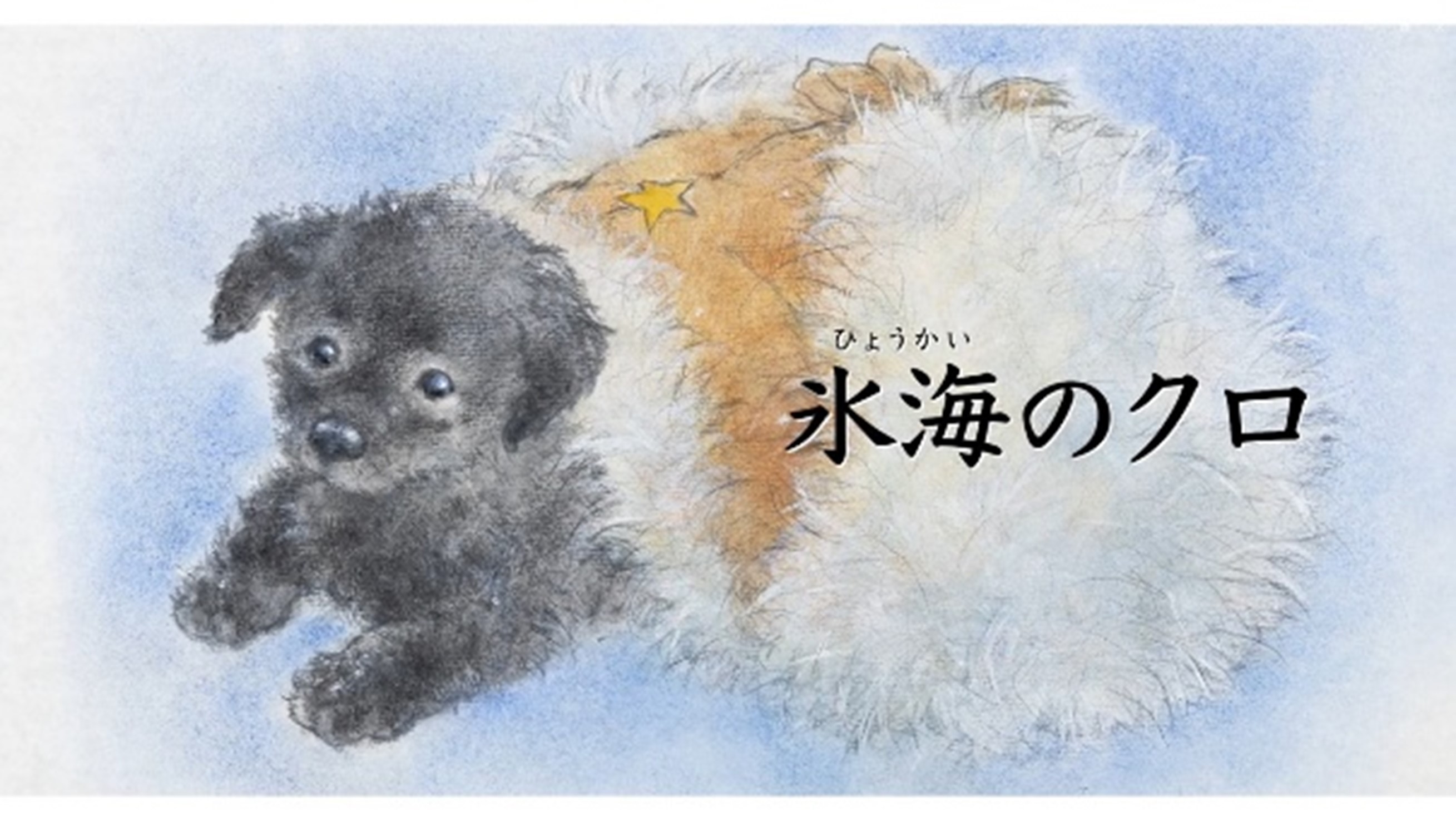 アニメ「氷海のクロ」