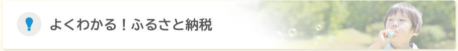 よくわかる！ふるさと納税