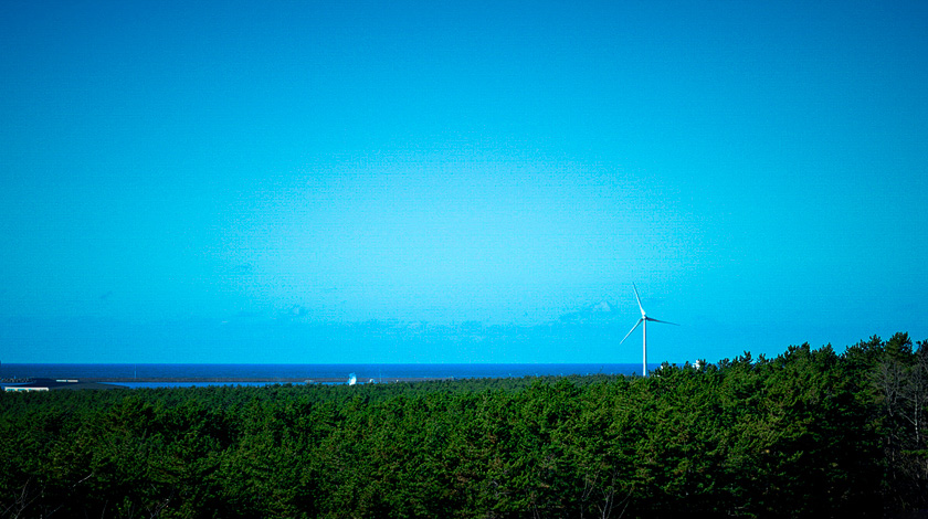 「風の松原」の風景写真