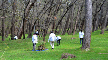 ボランティアによる「風の松原」保全活動の光景写真