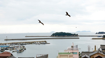 鞆の港の写真