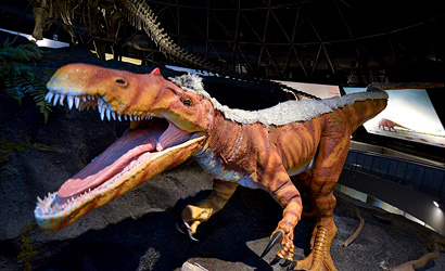 恐竜バリオニクス模型