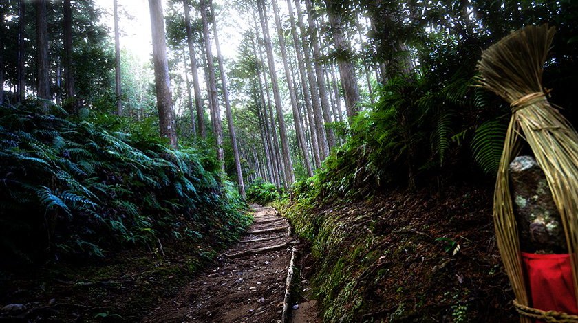 「熊野古道」の写真