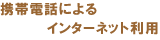 gѓdbɂC^[lbgp