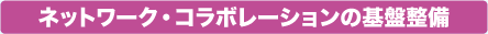 ネットワーク・コラボレーションの基盤整備